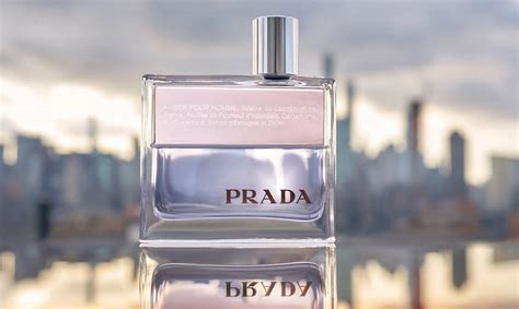 prada amber primor|prada amber pour homme review.